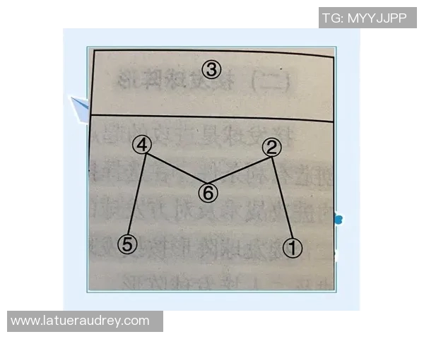 广州排球队中路突破策略解析与战术深度剖析 广州排球队中路突破策略解析与战术深度剖析